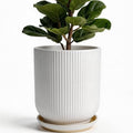 Deep Dream 10 Inch Ceramic Pots for Plants, Heavy Plant Pot for Indoor Outdoor Plants, Large Plant Pot with Drainage Hole and Saucer, Modern Tall Flower Pot, Gifts for Plant Lovers, White by DeepDream