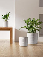 LE TAUCI 10+8+6 Inch Ceramic Pots for Plants, Indoor Planters with Drainage Hole and Plug, Raised Dots Cylinder Flower Pots Set of 3 for Living Room and Bedroom, Glossy, Arctic White - Image 3
