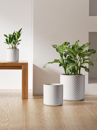 LE TAUCI 10+8+6 Inch Ceramic Pots for Plants, Indoor Planters with Drainage Hole and Plug, Raised Dots Cylinder Flower Pots Set of 3 for Living Room and Bedroom, Glossy, Arctic White - Image 3