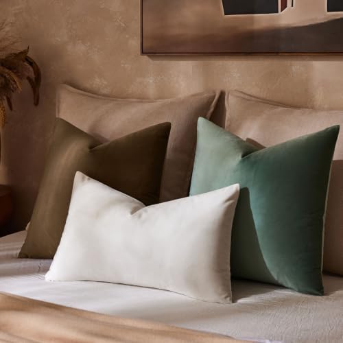 JUSPURBET 28x28 Euro Velvet Throw Pillow Covers Set of 2,Brown - Image 2