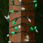Novelty Lights 24FT 70 LED C6 Christmas String Lights, Green & Pure White - Image 3