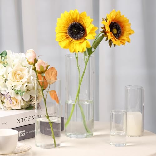 Fixwal 12pcs Clear Glass Cylinder Vases, 4, 6, 8, 10 Inch Tall - Image 3