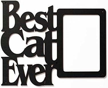 Wall Word Art Decorative Wood Sign for Pet, Dog, Cat, Horse, Pig, Animal Lovers with Fun Sayings and Quotes, 11 x 9 inches (Best Cat Ever) by MemoryMatsWordArt