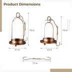 2 Pcs Glass Dome Candle Holders with Cloche Cover, Hanging Candle Lanterns with Hooks, Vintage Glass Cloches with Metal Base, Decorative Plant Display Stands for Tabletop, Mantel, Shelf - Image 4