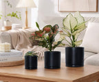 D'vine Dev 3-Pack Black Terracotta Pots & Saucers, 4/5/6 in, 40-T-A-2 - Image 2
