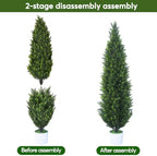 2 Pack 6Ft Artificial Cedar Topiary Tree w/ 2 Stake & Pot for Porch - Image 3