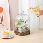 Twakutwku 12" Tall Large Sturdy Handmade Glass Cloche Dome with Metal Base in Gold for Plant, Terrarium, Collectibles, Candle. Cloche Glass Dome, Bell Jar Display Case (Gold, 12") - Image 4