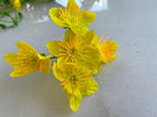 Vietnamese New Year Decorations Fake Flowers - Vietnamese Artificial Ochna Integerrima Flowers - HOA Mai Vai TET (2 Bags) - Image 4