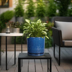 Eightpot Ceramic Planter - 8 Inch Plant Pot Indoor with Drainage Holes and Saucer Round Planter Outdoor Mid-Century Modern Flower Pot Succulent Pot for Home Decor Blue - Image 6