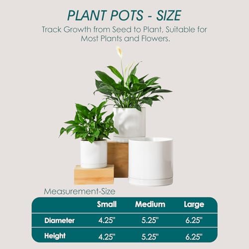 vancasso Ceramic Planters, Plant Pots for Indoor Plants, 6.25+8.25+10.25 Inch Ceramic Pots for Plants, Flower Pots with Drainage Holes, Planters Pot for Indoor House Plant, Set of 3, White - Image 3