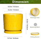 Eightpot 6 Inch Pots for Plants, Ceramic Pots for Plants with Drainage Holes and Tray, Round Planter for Indoor Outdoor, Modern Plant Pot, Decorative Flower Pot, Table Decor, Teacher Gift, Yellow - Image 2