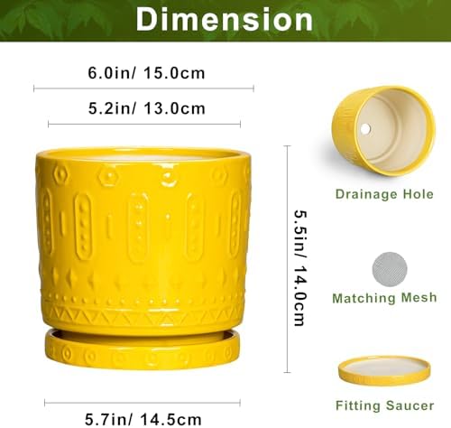 Eightpot 6 Inch Pots for Plants, Ceramic Pots for Plants with Drainage Holes and Tray, Round Planter for Indoor Outdoor, Modern Plant Pot, Decorative Flower Pot, Table Decor, Teacher Gift, Yellow - Image 2