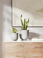 LE TAUCI 6 Inch Ceramic Plant Pot, Small Indoor Planter, Neutral Gray - Image 4