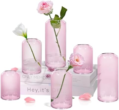 ZENS Bud Vases Set of 6, Pink Clear Small Glass Vase for Flowers. Modern Hand Blown Cylinder Glass Vase for Wedding Reception Centerpieces Living Room Decorative. by ZENSLIFESTYLE