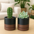 D'vine Dev 4-Pack Ceramic Pots with Saucers, Black/Tan, 4.7 in, 94-X-B-7 - Image 6