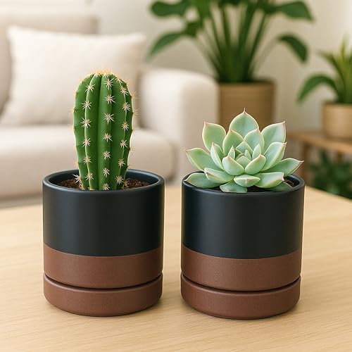 D'vine Dev 4-Pack Ceramic Pots with Saucers, Black/Tan, 4.7 in, 94-X-B-7 - Image 6