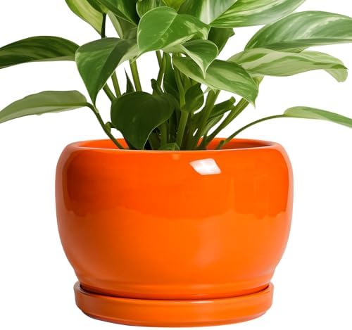 SQOWL Ceramic Pot for Plants - 8 Inch Plant Pot Indoor Outdoor, Modern Round Planter with Drainage Hole and Saucer, Decorative Planter for Flower, Office Decor, Garden Gifts for Women, Orange by SQOWL