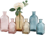 GMWD Glass Flower Vase Set of 6 Clear Bud Vases, 14.5 Oz 8 Oz Apothecary Bottle Assorted Color Vases Decorative for Centerpieces Home Decoration Wedding Reception Table Decor by GMWD