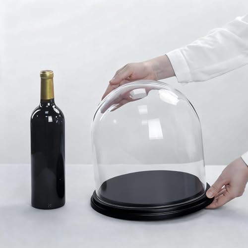 CYS EXCEL Glass Cloche Dome with Black Wood Base (H:11" D:11") | Multiple Size Choices Decorative Showcase Display for Antique Collectibles | Bell Jar Terrarium & Dessert Cover - Image 2