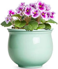 6 Inch African Violet Pots, Ceramic Self Watering Planter with Absorbent Inner Pot, Round Pots for Indoor Plants Outdoor, Ceramic Flower Pot, Office Decor, Plant Lover Gifts, Mint Green by Teagas