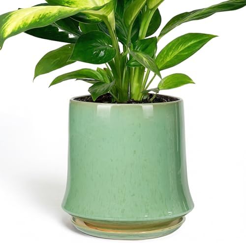 11 Inch Ceramic Planter Pot with Saucer Drainage Leak-Proof Mesh,Flower Pots for Lavender with Gardening Gloves,Ceramic Planter for Orchid (Light Green) by Unknown