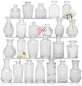 24PCS Clear Glass Bud Vases Set,Small Flower Arrangement Vase,Vintage Crystal Glass Design,Wedding,Party Decoration,Home Flower Arrangement (24) by Unknown