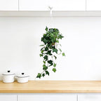 31.5" Fake Plants English Ivy in Pot- 2Pack Artificial Silk Ivy Greenery for Home Décor, Tabletop, Office, Shelf, Balcony or Bathroom - Image 5
