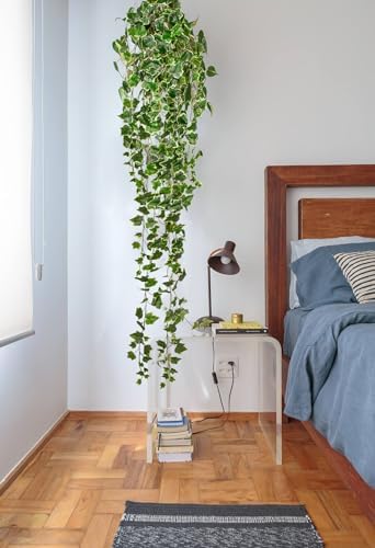 Hollyone Artificial Hanging Plants 6FT Fake Ivy Vine Faux Ivy Leaves Hanging Plant Greenery for Wall House Room Patio Indoor Outdoor Home Shelf Office Wedding Decor - Image 4