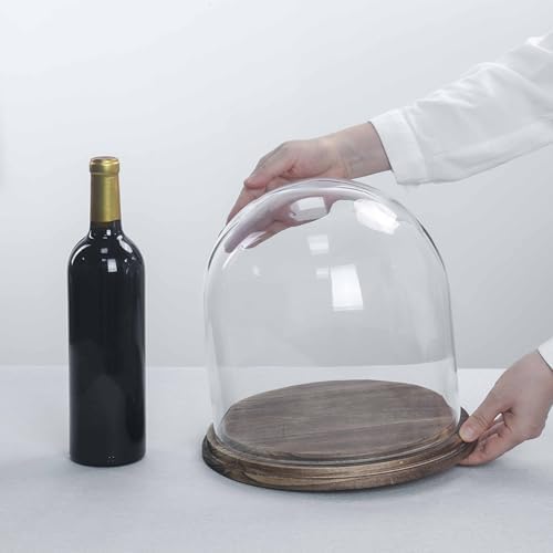 CYS EXCEL Glass Cloche Dome with Lightly Charred Wood Base (H:11" D:11") | Multiple Size Choices Decorative Showcase Display for Antique Collectibles | Bell Jar Terrarium & Dessert Cover - Image 2