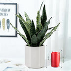 Fake Snake Plant 22" Tall, Realistic Touch Leaves, Potted Artificial Plants Indoor for Home Decor Small Office Home Living Room - Image 6