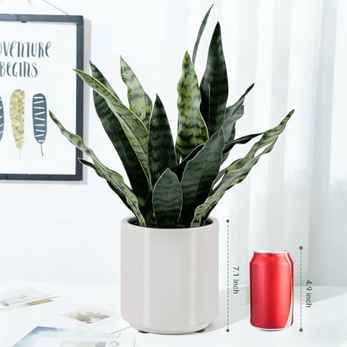 Fake Snake Plant 22" Tall, Realistic Touch Leaves, Potted Artificial Plants Indoor for Home Decor Small Office Home Living Room - Image 6