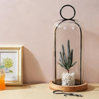 16" High Versatile Black Metal Candle Holder with Handmade Sturdy Glass Dome And Natural Wooden Base for Pillar Candle & Plants, Industrial, Farmhouse, Shabby Chic, Decorative Display Cloche Bell Jars - Image 4