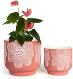 Ceramic Plant Pots, 8+6 Inch, 2 Pcs Indoor Planters with Drainage Holes by YBXYIBOXUAN