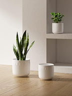 LE TAUCI Ceramic Planters, 8.3/7/6 Inch Indoor Pots for Plants with Drainage Holes & Mesh, Modern Matte Glaze Cylinder Fluted Plant Pot for Snake Plant, Set of 3, White - Image 5