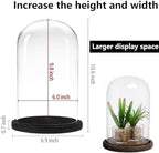Glass Cloche Bell Jar with Wooden Base,Clear Glass Display Dome Cover,khaki - Image 2