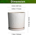 Eightpot Ceramic Planter for Indoor Plants - 8 Inch Plant Pot Outdoor Flower Pot with Drainage Holes and Saucer Modern Round Planter Succulent Pot for Home Garden Decor White - Image 3