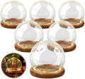Funtery 6 Pcs 3.94 Inch Christmas Glass Display Dome Cloche Glass Globe by Funtery