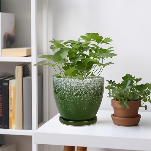 Ceraimc Plant Pot - 6.3 Inch Planter with Drainage and Plant Tray, Round Succulent Planters, Decorative Flower Pot for Indoor, Room Office Patio House Decor, Gifts for Women Men, Green - Image 2