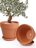 INGOFIN 12 Inch Terracotta Pot Set of 2 with Saucer - Ceramic Clay Pot for Plants with Drainage Hole, Large Terra Cotta Flower Planter with Tray for Indoor Outdoor Plants by INGOFIN