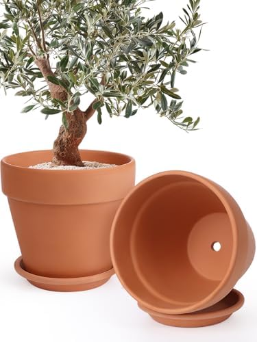 INGOFIN 12 Inch Terracotta Pot Set of 2 with Saucer - Ceramic Clay Pot for Plants with Drainage Hole, Large Terra Cotta Flower Planter with Tray for Indoor Outdoor Plants by INGOFIN