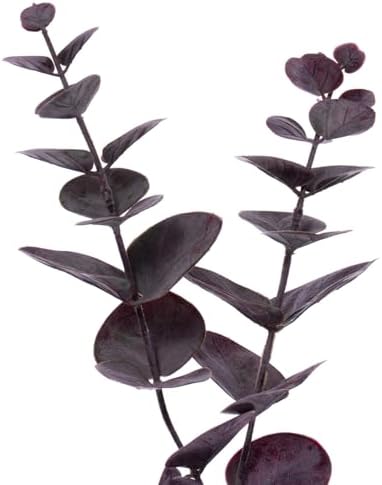 Vickerman 6' Artificial Burgundy Spiral Eucalyptus Garland - Image 2