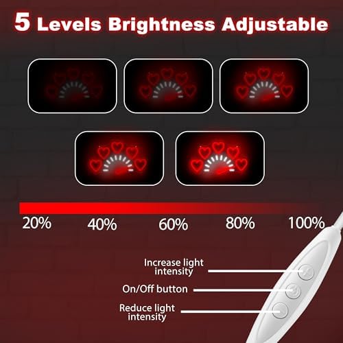 Love Heart Neon Sign Gauge Shape LED Light, USB Powered Neon Lamp Dimmable - Image 7