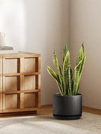 LE TAUCI 10 inch Plant Pot, Ceramic Pots for Plants, Black - Image 2