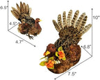 naturevibe 10/6.5 Inch Set of 2 Thanksgiving Feathered Turkey Decorations - Image 2