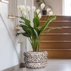 SQOWL Ceramic Flower Pots - 13.5 Inch Plant Pot with Drainage Hole, Large Ceramic Planter for Indoor Plants, Round Modern Planter Outdoor, Porch Home House Decor, Plant Lover Gifts, White - Image 6