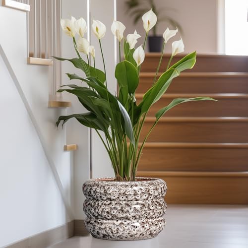 SQOWL Ceramic Flower Pots - 13.5 Inch Plant Pot with Drainage Hole, Large Ceramic Planter for Indoor Plants, Round Modern Planter Outdoor, Porch Home House Decor, Plant Lover Gifts, White - Image 6