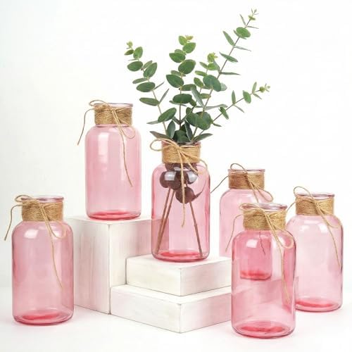 Mason Jars for Centerpiece Glass Flower Bud Vase Pink Vases, 6 Pc by Unknown