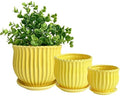 Yellow Ceramic Flower Pots with Saucers, Modern Round Ceramic Succulent Plant Pots with Stripe Texture, Small to Medium Sized, Set of 3 by Nattol