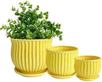 Yellow Ceramic Flower Pots with Saucers, Modern Round Ceramic Succulent Plant Pots with Stripe Texture, Small to Medium Sized, Set of 3 by Nattol