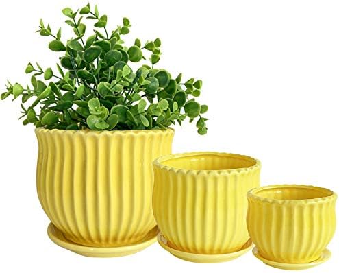 Yellow Ceramic Flower Pots with Saucers, Modern Round Ceramic Succulent Plant Pots with Stripe Texture, Small to Medium Sized, Set of 3 by Nattol
